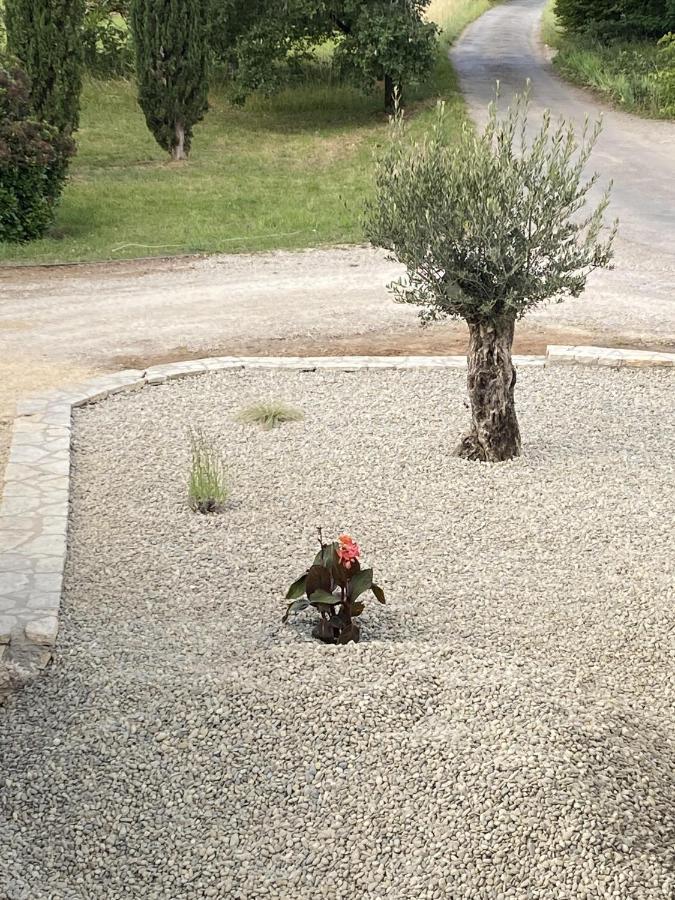 Le Jardin Du Moustoulac Chambres D'Hotes Cahors Buitenkant foto